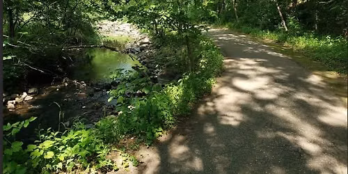 Nine Mile Creek History Walk
