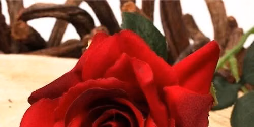 Silk Rose Workshop