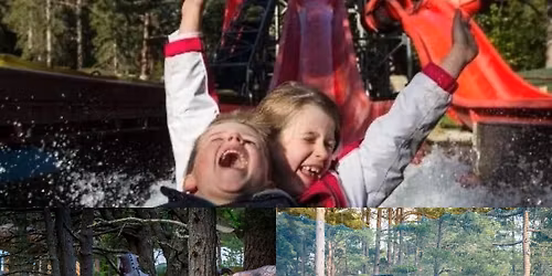 Landmark Forest Adventure Park via Banff