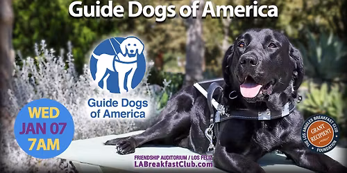Guide Dogs of America - Tender Loving Canines !