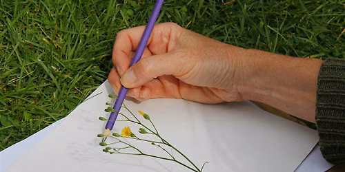 Walk and Draw