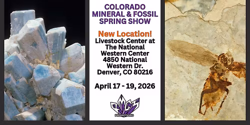 Colorado Mineral & Fossil Spring Show