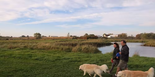 Kaos Kennels Canine Good Citizen Class