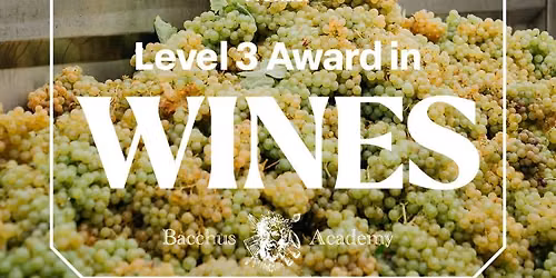 WSET Level 3 in Wines - Brisbane In-person