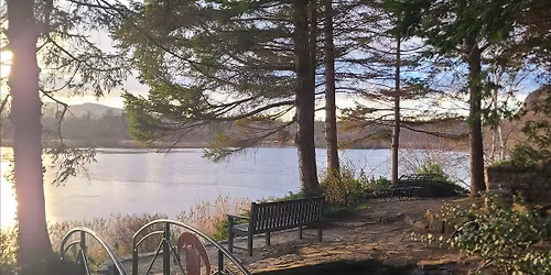 A Joyful Spring Gathering: Forest Bathing & Aromatherapy Workshop