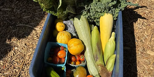 LGL Harvest Share CSA Box 8\/26\/26