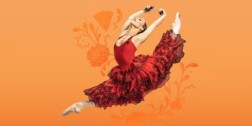 Carlos Acosta's Don Quixote