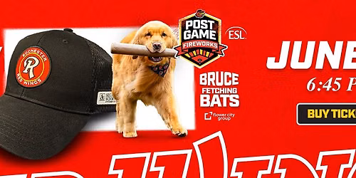 Segar Cap Giveaway & Bruce Fetching Bats