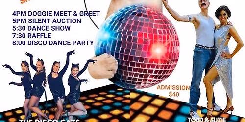 Doggie\u2019s Disco!