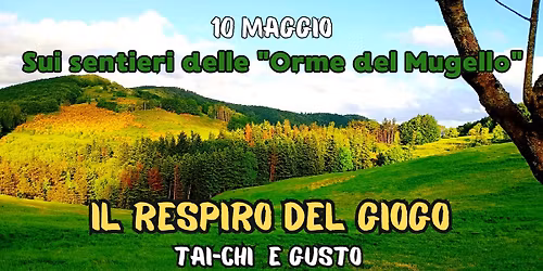 Il Respiro del Giogo: Tai Chi e Gusto