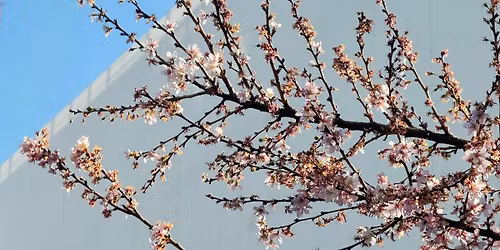 \u3010Unknown vol.SP\uff0d\u5927\u4eba\u306f\u7acb\u3061\u5165\u308a\u7981\u6b62!\u3011