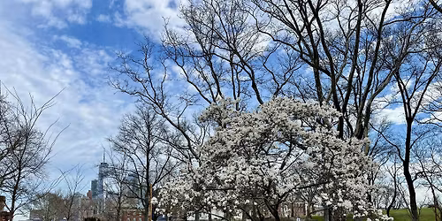 Tree Tour