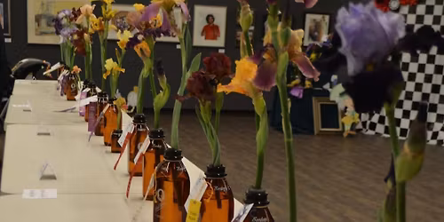 2026 Annual Iris Show & Competition