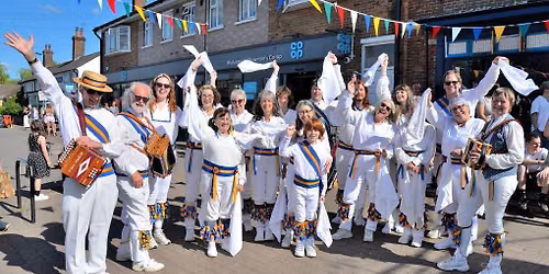 Wimborne Folk Festival