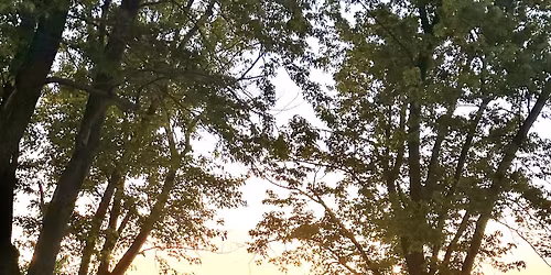 Firefly Date Night