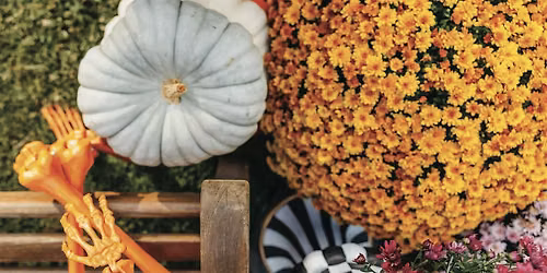 Halloween Planters Workshop