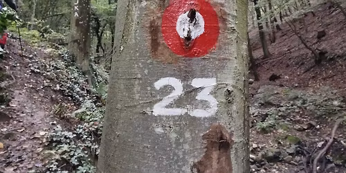 Planinarski izlet: Marku\u0161evec - Gorsko zrcalo - PD Hunjka