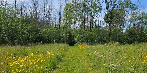 Families on the Move: Prairie Hike 