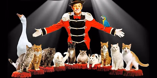 Popovich Comedy Pet Theater
