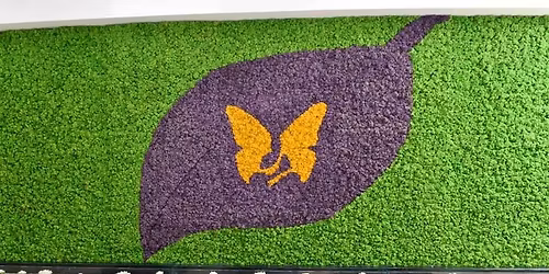 Mind-Body Wellness Workshop