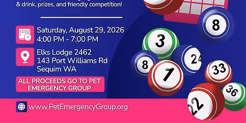 Bingo Night!