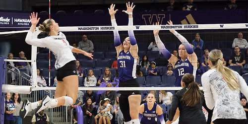 Washington Huskies at Michigan Wolverines Womens Volleyball at Cliff Keen Arena