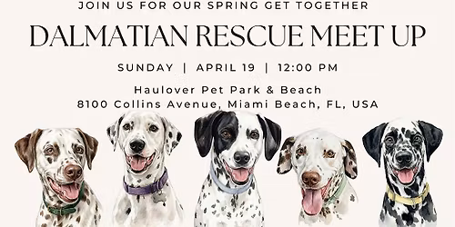 DALMATIAN RESCUE MEET UP