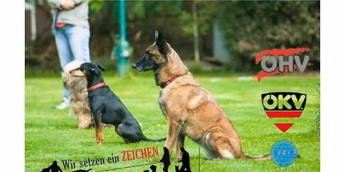 Workshop \u201eFit f\u00fcr die BH\/VT, BGH 1 - 3\u201c