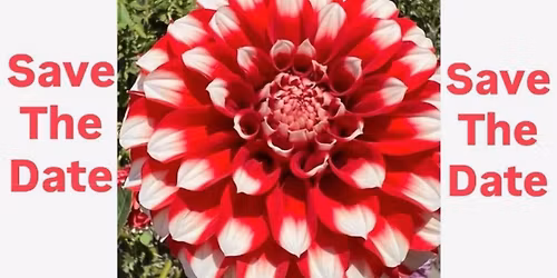 Annual Tuber & Plant Sale