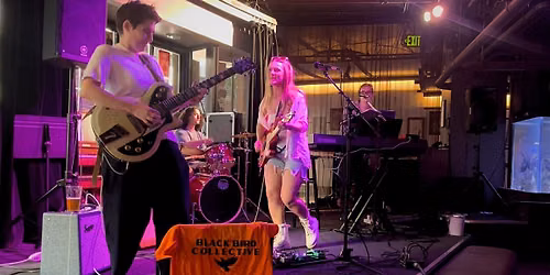 Black Bird Collective at The Musiquarium