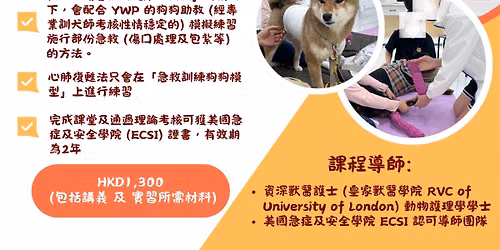 \u52d5\u7269\u6025\u6551(\u7f8e\u570bECSI\u8b49\u66f8)\u73ed \/ \u6025\u6551\u5be6\u7fd2\u589e\u503c\u73ed