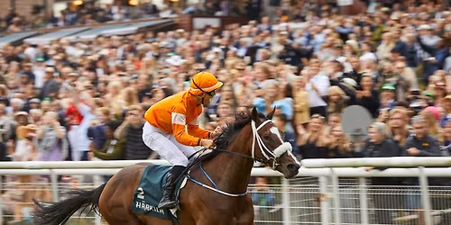 \u00c5bningsdagen 2025