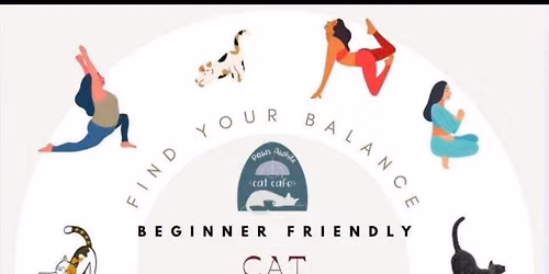 Yoga with the Cats! Book online