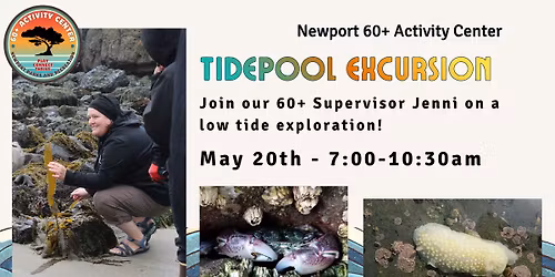 Tidepool Excursion