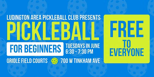 Free Community Beginner Pickleball Lessons provided by Ludington Area Pickleball Club