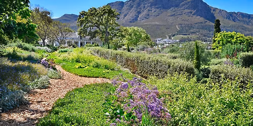Franschhoek Open Garden Show