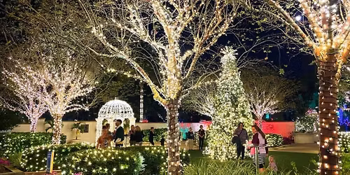 Illuminate The Gardens