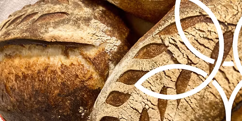 A kov\u00e1szos keny\u00e9r