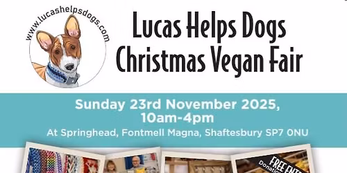 Shaftesbury Christmas Vegan Fair