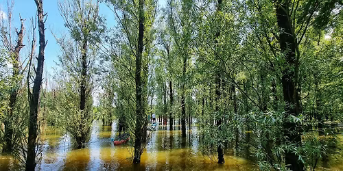 Sup szafari Gemenc k\u00f6zep\u00e9n 18.0