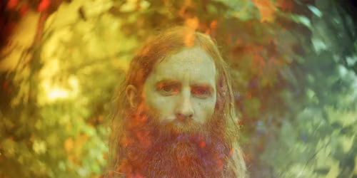 Saintseneca