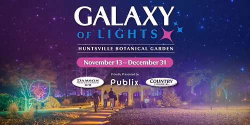 Galaxy of Lights