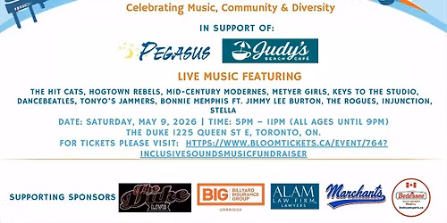 Inclusive sounds music fundraiser
