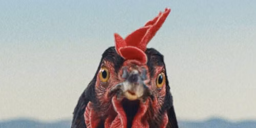 Ty\u00fak \/ Hen