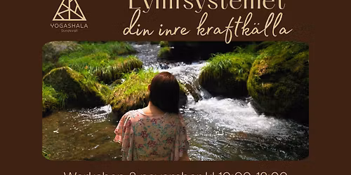 Lymfsystemet - din egna kraftk\u00e4lla