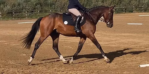 TEAM TRAINING with KIRSTY FARREN