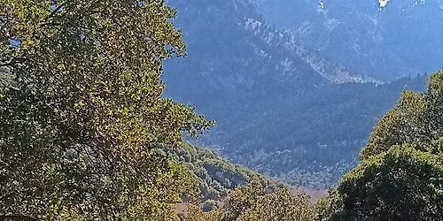 \u03a0\u03c1\u03c9\u03c4\u03bf\u03bc\u03b1\u03b3\u03b9\u03ac 1-3 \u039c\u03b1\u03ca\u03bf\u03c5 \u2013 \u039d\u03cc\u03c4\u03b9\u03b1 \u03ba\u03bf\u03c1\u03c5\u03c6\u03bf\u03b3\u03c1\u03b1\u03bc\u03bc\u03ae \u0392\u03b1\u03c1\u03b4\u03bf\u03c5\u03c3\u03af\u03c9\u03bd \u2013 \u039f\u03c1\u03b5\u03b9\u03bd\u03ae \u03a6\u03c9\u03ba\u03af\u03b4\u03b1