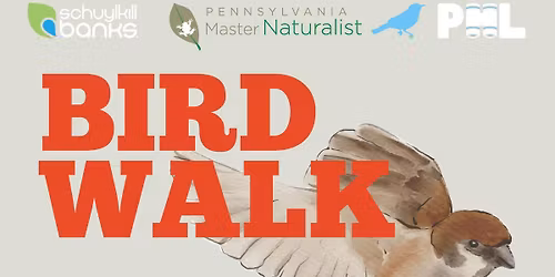 Bird Walk