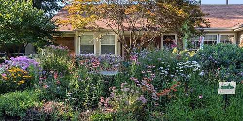 Pollinators at Home Workshop