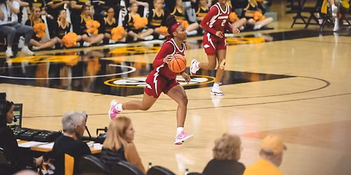 Missouri Tigers at Arkansas Razorbacks Womens Volleyball at Barnhill Arena
